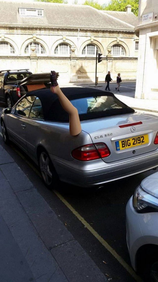 WTF Pictures (48 pics)