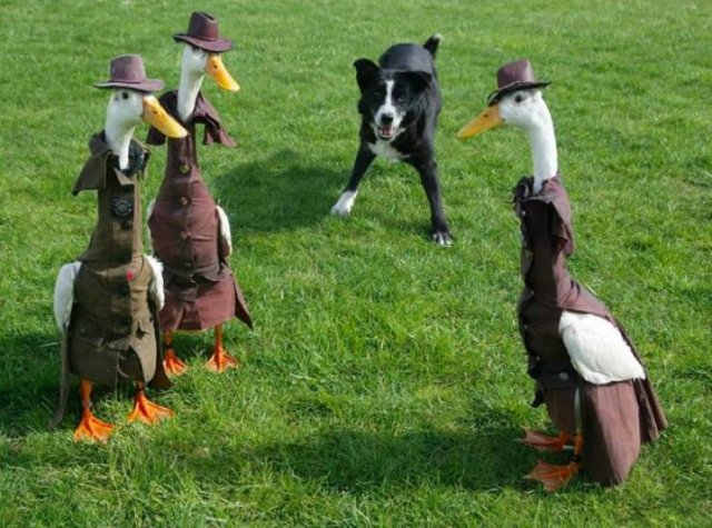 WTF Pictures (48 pics)