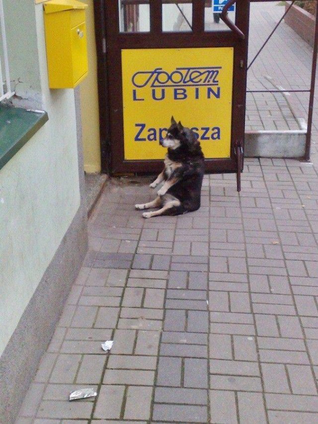 WTF Pictures (48 pics)