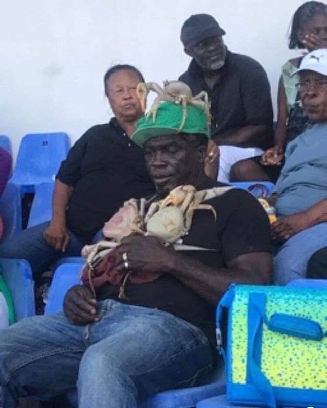 WTF Pictures (48 pics)