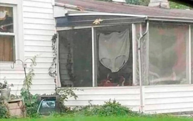 WTF Pictures (48 pics)