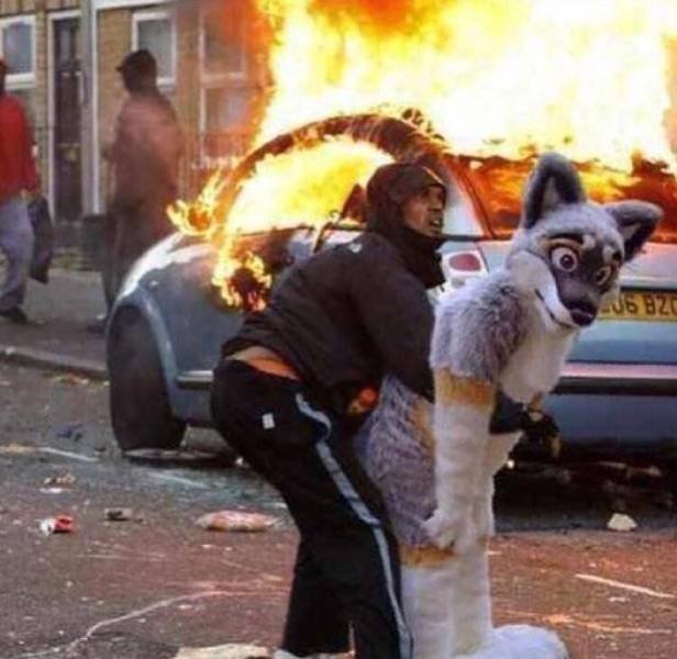 WTF Pictures (48 pics)