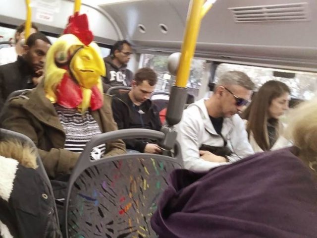 WTF Pictures (48 pics)