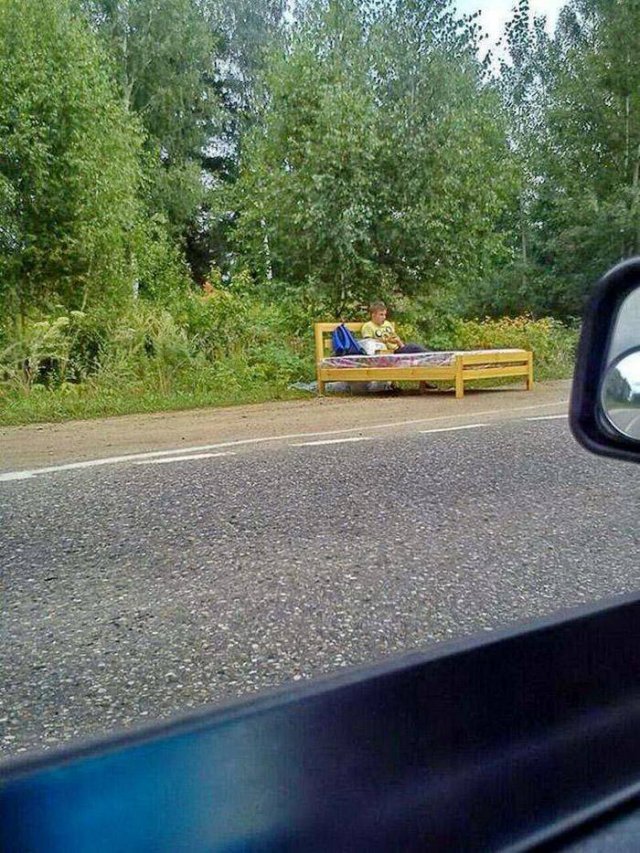 WTF Pictures (48 pics)
