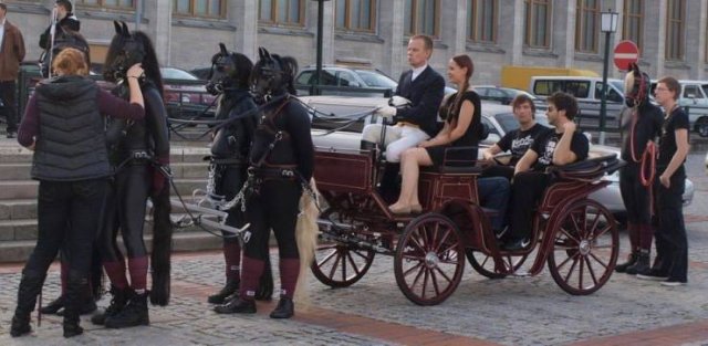 WTF Pictures (48 pics)