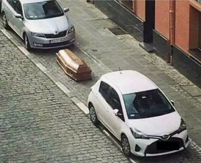 WTF Pictures (48 pics)