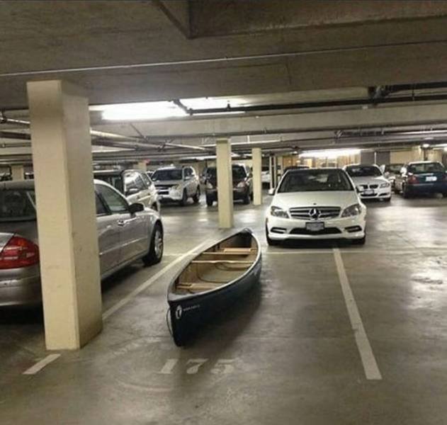 WTF Pictures (48 pics)
