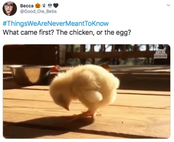 The World Will Never Know (26 pics)