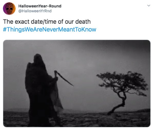 The World Will Never Know (26 pics)