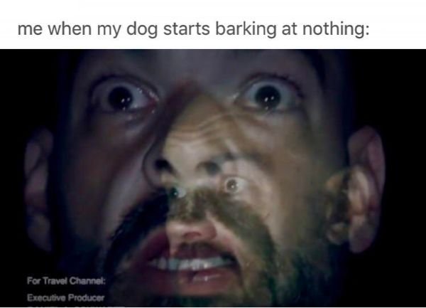 Ghostly memes (30 pics)