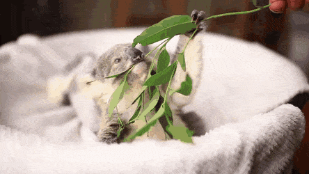 Acid Gifdump, October 30 (25 gifs)