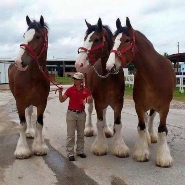 Acid Picdump. Part 1 (100 pics)