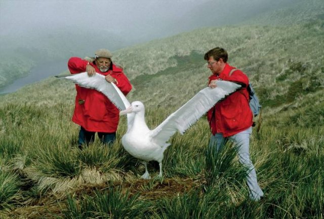 Acid Picdump. Part 1 (100 pics)