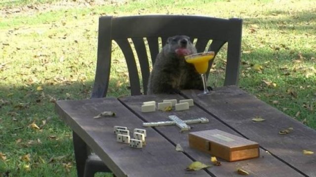 Acid Picdump. Part 1 (100 pics)