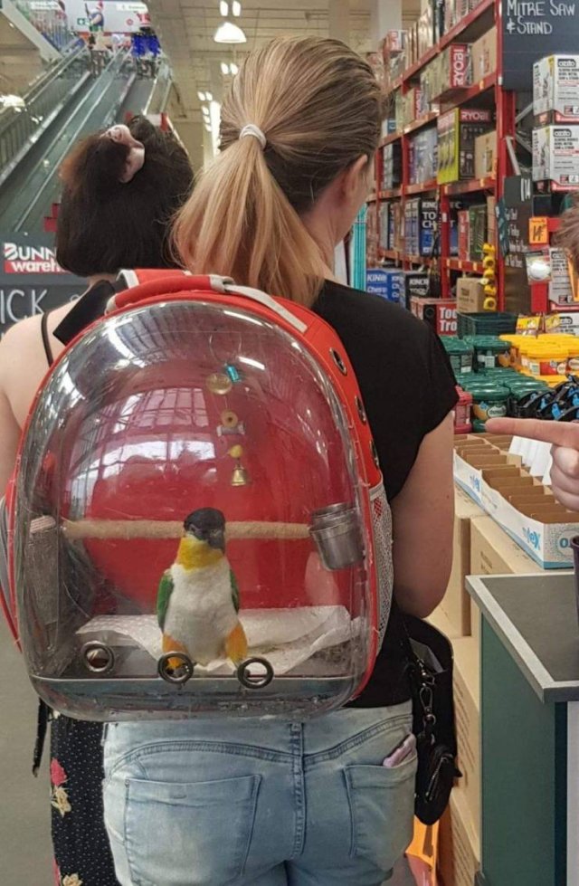 Acid Picdump. Part 1 (100 pics)