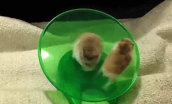 Acid Gifdump, November 1 (25 gifs)
