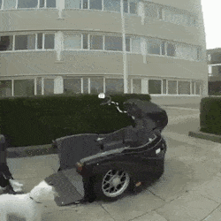 Acid Gifdump, November 1 (25 gifs)
