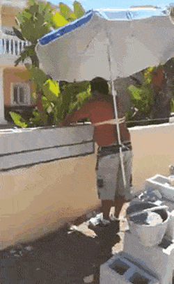 Acid Gifdump, November 1 (25 gifs)