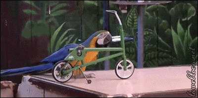 Acid Gifdump, November 1 (25 gifs)