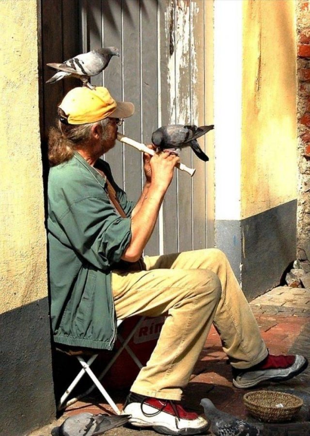 More Than Just Photos (48 pics)
