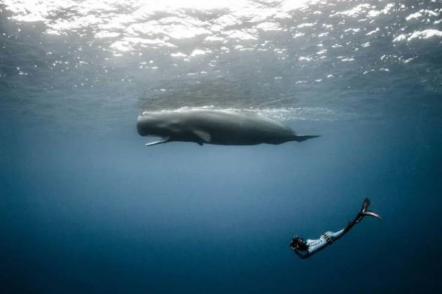 More Than Just Photos (48 pics)