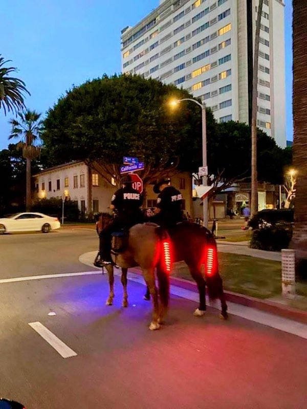 Welcome to America! (37 pics)