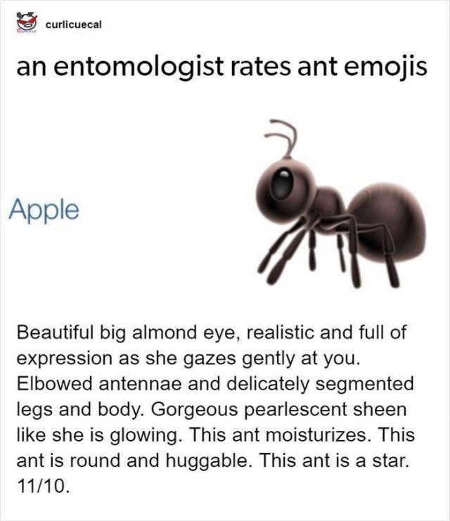 An Entomologist Rates Ant Emojis (17 pics)