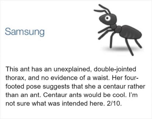 An Entomologist Rates Ant Emojis (17 pics)