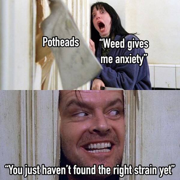 Just Really Annoying (43 pics)
