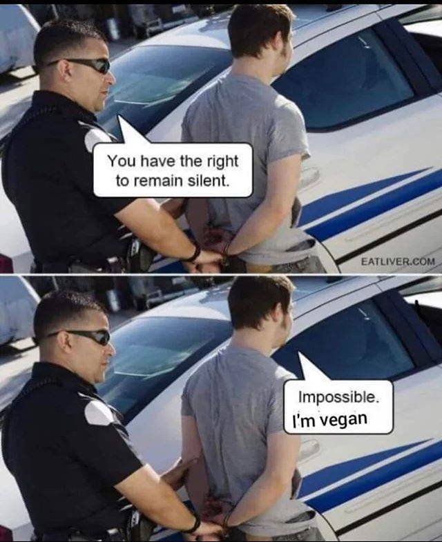 Just Really Annoying (43 pics)