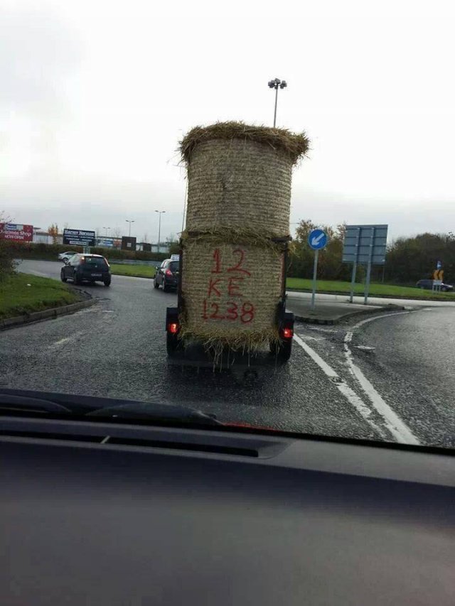 Meanwhile In Ireland (42 pics)