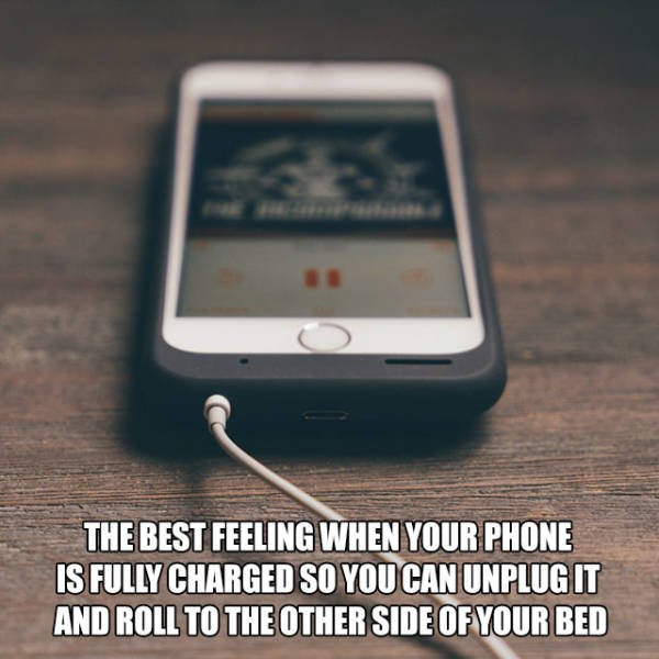 Just Really Annoying (43 pics)