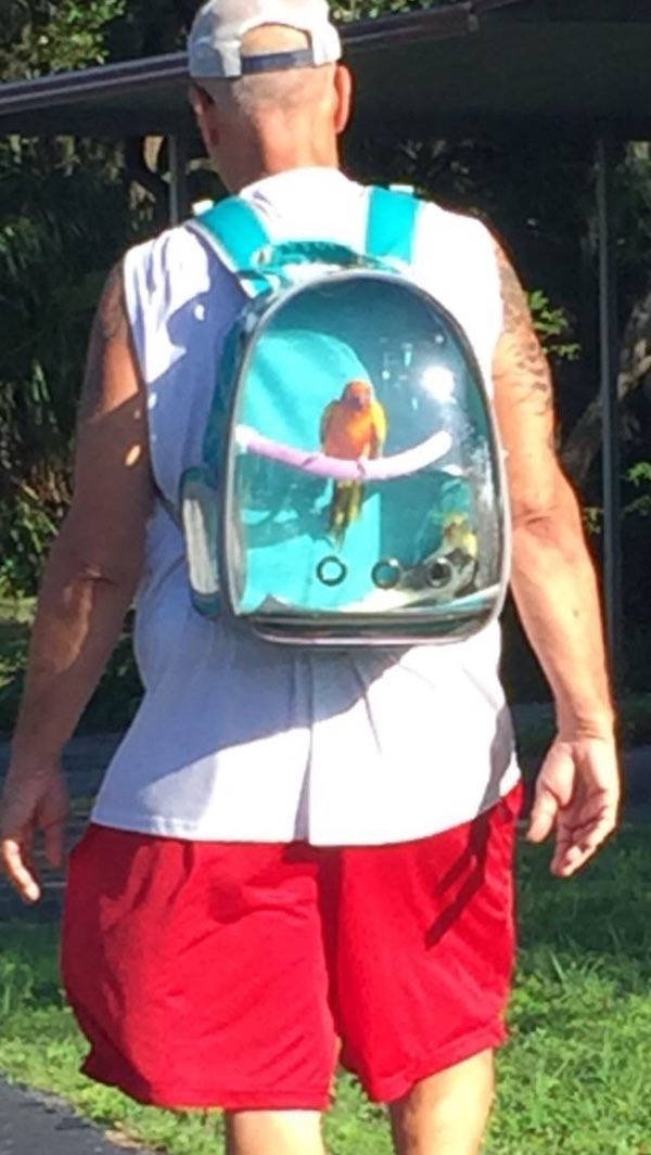 Welcome to America! (37 pics)