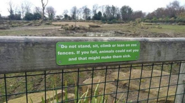 Meanwhile In Ireland (42 pics)