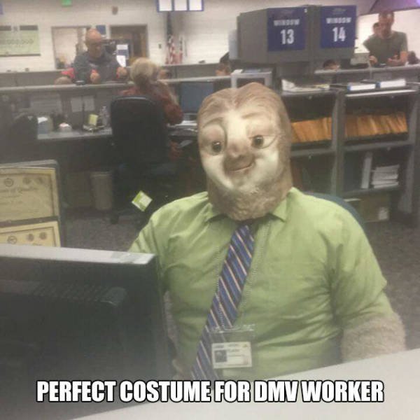 Just Really Annoying (43 pics)