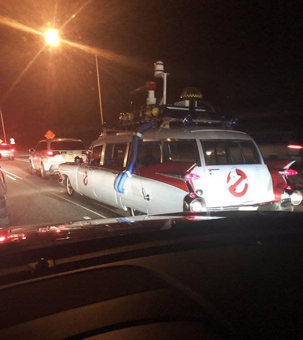 Welcome to America! (37 pics)