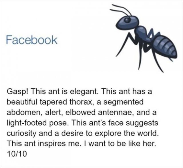 An Entomologist Rates Ant Emojis (17 pics)