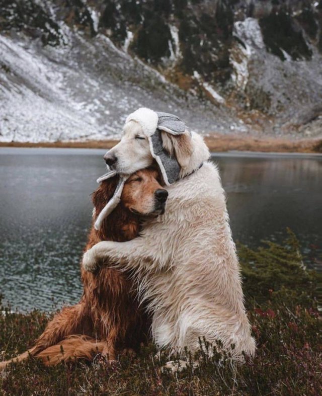 More Than Just Photos (48 pics)