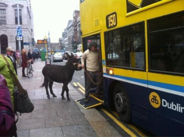 Meanwhile In Ireland (42 pics)