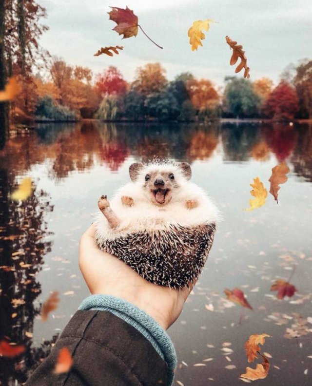 More Than Just Photos (48 pics)