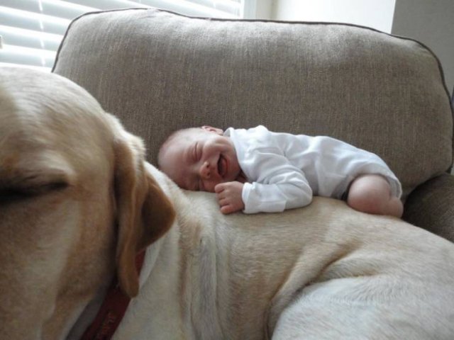 True Friendship (24 pics) True Friendship (24 pics)