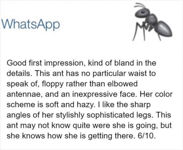 An Entomologist Rates Ant Emojis (17 pics)