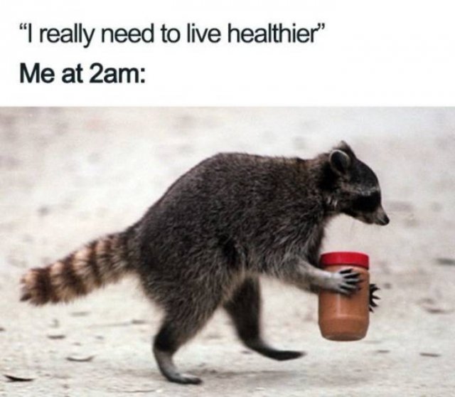 Diet & Gym Memes (40 pics)