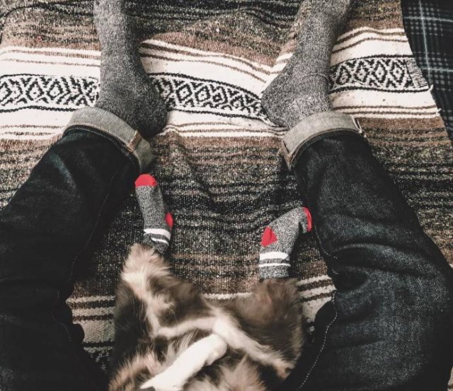 More Than Just Photos (48 pics)