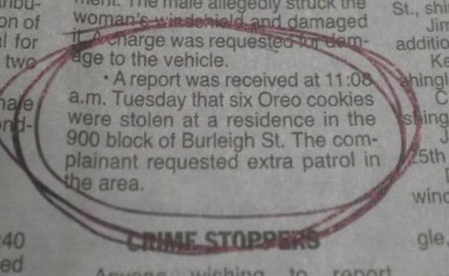 Welcome to America! (37 pics)