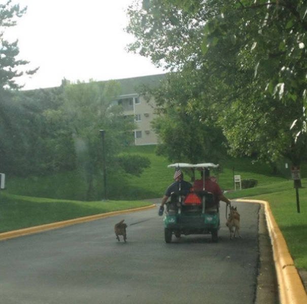 Welcome to America! (37 pics)