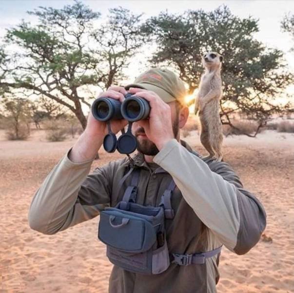 More Than Just Photos (48 pics)