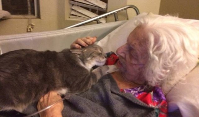 True Friendship (24 pics) True Friendship (24 pics)