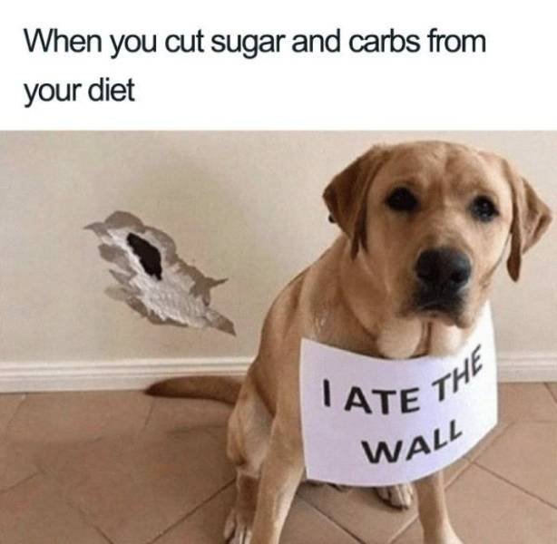 Diet & Gym Memes (40 pics)