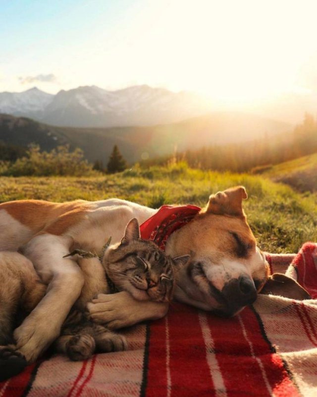 More Than Just Photos (48 pics)
